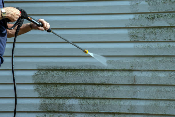 Best Building Exterior Washing  in Woodbine, GA